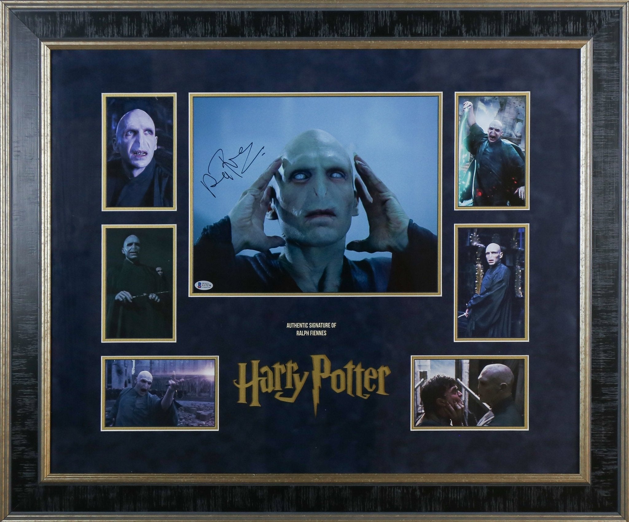 Ralph Fiennes, Harry Potter Signed 12x16 Photograph Framed Display - Memorabilia Framers Shop